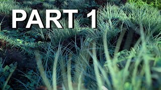 como fazer procedural nature