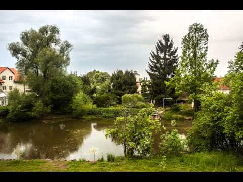 Timelapse Dessau Mildensee