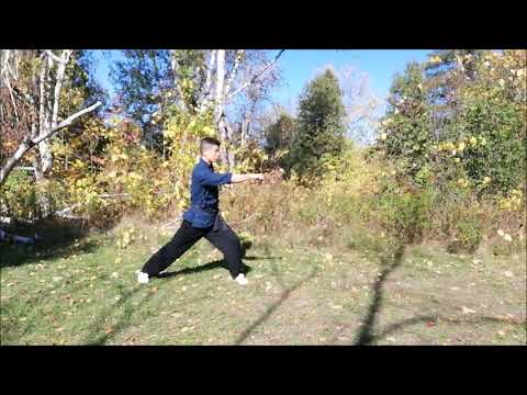 Southern Shaolin 18 Louhans golden bell fist/ gum gong kuen- form 2