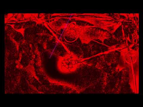 Terence Fixmer - When It Comes to Your Mind