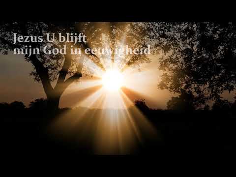 U Bent Sterker (Mozaiek Worship Jannica van Barneveld)