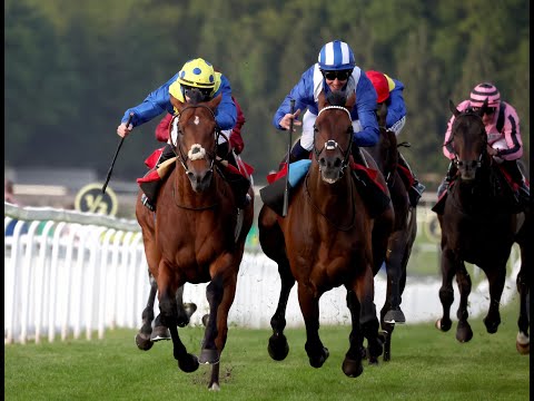 😲 Desert Crown is beaten on his return as Hukum wins thrilling Brigadier Gerard battle!