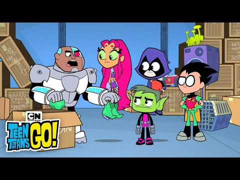 Do You Remember? I Teen Titans Go I Cartoon Network