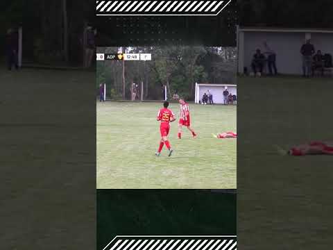 Campeonato Colonial de Pelotas. ARROIO DO PADRE 2x0 SANGA FUNDA