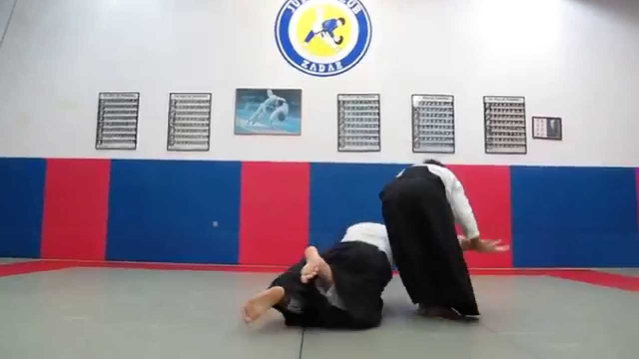 Tsuzukiwasa 17