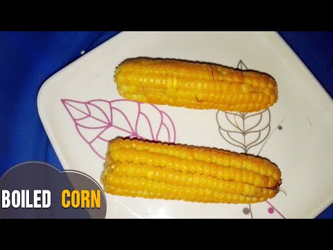 how to boiled maize or boiled corn by Latha Channel
