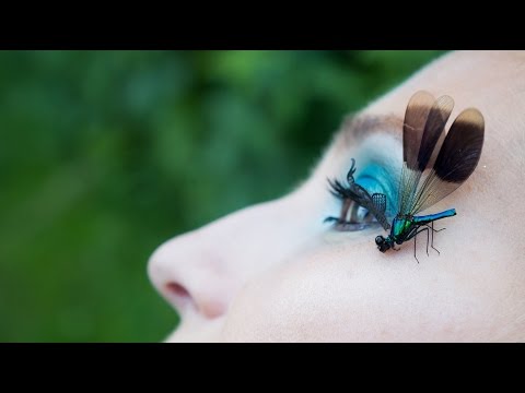 Ulfonze - Sensitive Kind