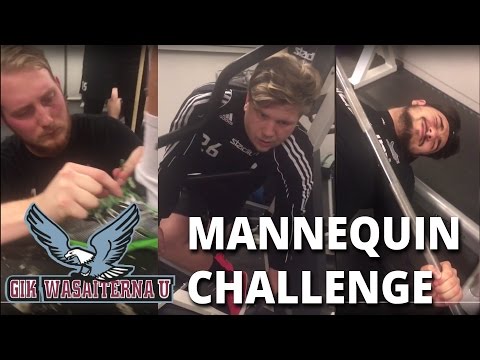 Wasaiterna - Mannequin Challenge