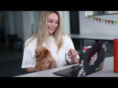 Product Owner & Product Owner Associate: про ролі та кар’єрний ріст | ZONE3000