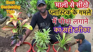माली से सीखे प्लास्टिक के गमले में पोधा लगाने का सही तरीका || Best Gardening Tips plants