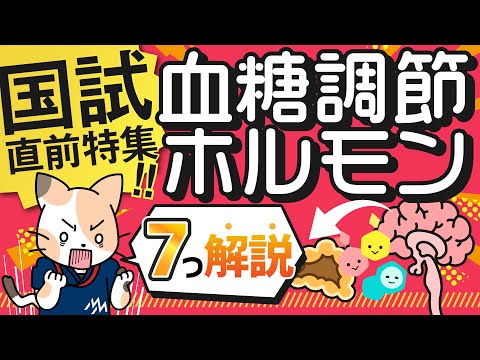 コルチゾールの分子表示