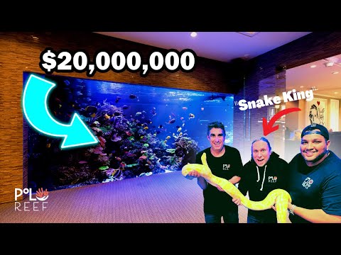 Reptile King Meets Aquarium King - $20,000,000 Saltwater Tank Tour