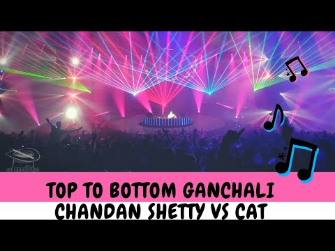 Top to bottom Ganchali chandan shetty Vs Cat