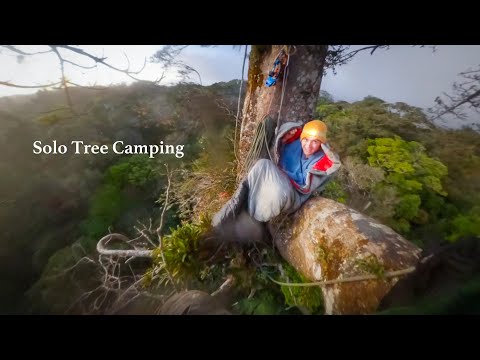 Most insane overnight experience of my life (Solo Tree Camping)