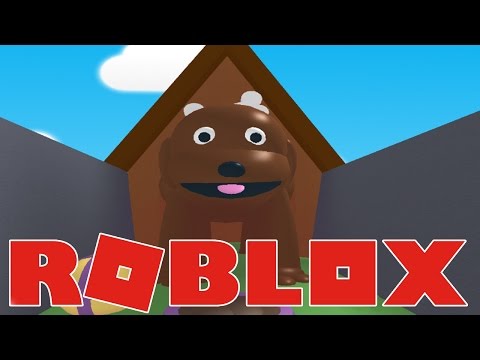 Access Youtube - escape the pet store obby in roblox youtube