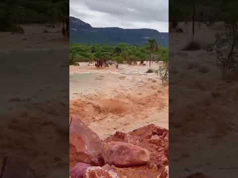 ⚠️ Barragem se rompe em município do Tocantins; Polícia Civil abre investigação
