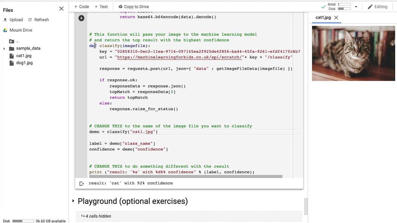 Machine Learning Image Classification in Python