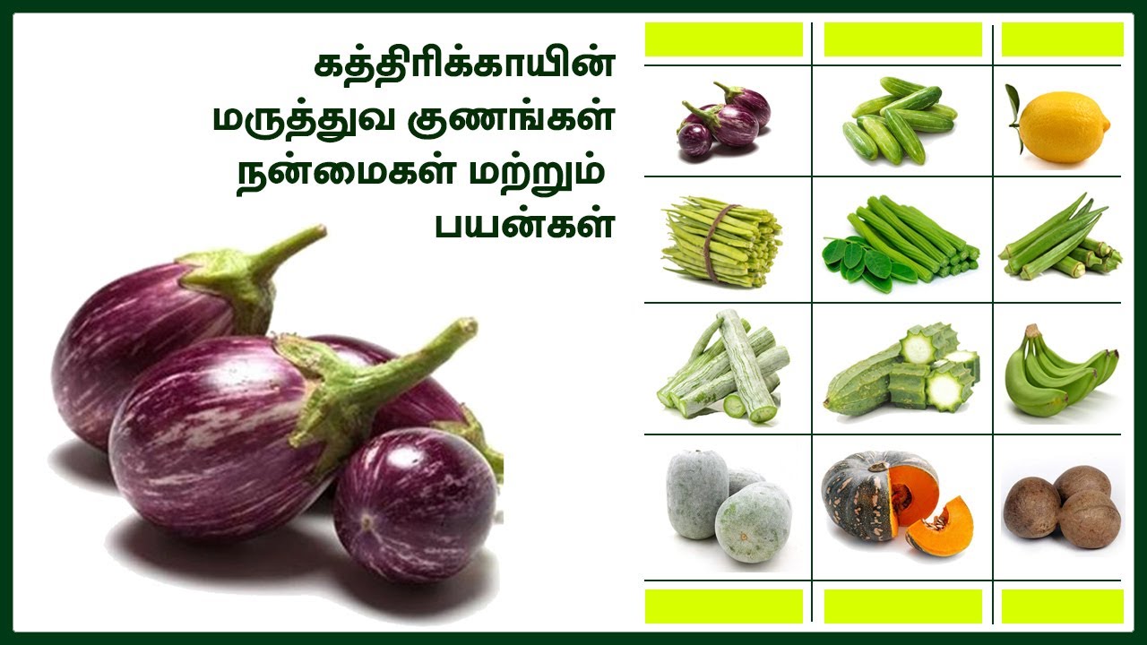 கத்திரிக்காய் | குழம்பு | தொக்கு | புளிக்குழம்பு | பொரியல் | கடையல் | கூட்டு | சட்னி| காரக்குழம்பு