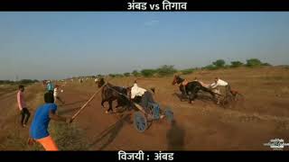 Tedu Re Aavyu Re Durna Dhamnu song artwork