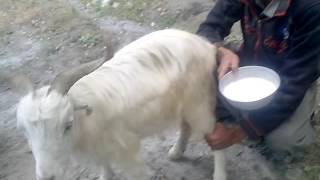 knowledge for all  by Engineer ASIF ABIDE PAINDO