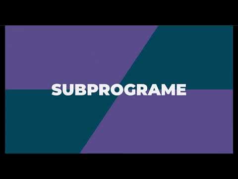 Subprograme (funcții) Limbajul de programare C++