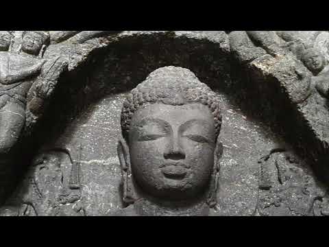 The Middle Length Discourses: Sutta 25 - Nivāpa Sutta: The Bait