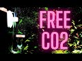 HOW TO: Make a long lasting DIY CO2 system - Low Budget CO2 System