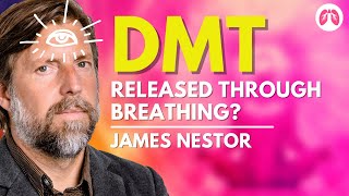 RELEASING DMT | Can Deep Breathing release Psychedelic Substances in our Brain? | TAKE A DEEP BREATH