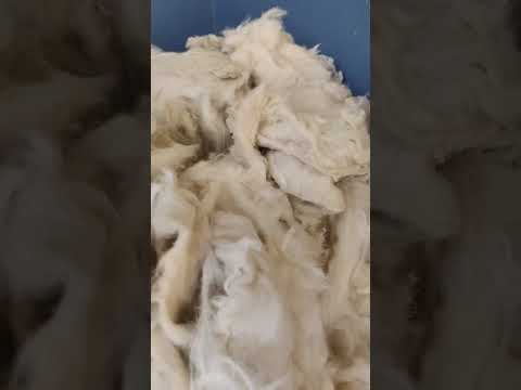 Cotton Wicks