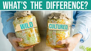 WILD FERMENTATION vs CULTURED:  What's the Difference?