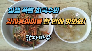 감자바우