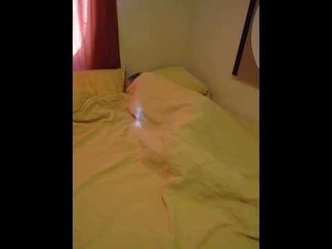 Keetsa. zzzzzzzzzzzzzzzzzzzzzzzzzzzzzzzzzzzzzzzzzzzzzzzzzzzzzzz.....................
