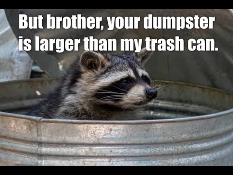 Brother, may I look in your dumpster?
