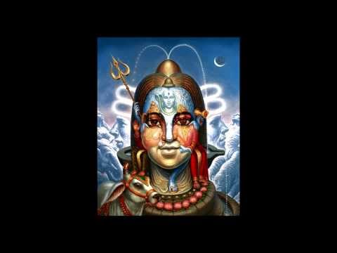 PsiloCybian vs Wizack Twizack - Honey Ant