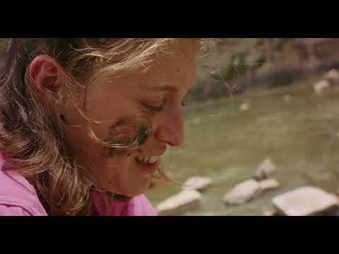 שמש חמה מדי - טיזר