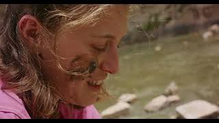 שמש חמה מדי - טיזר