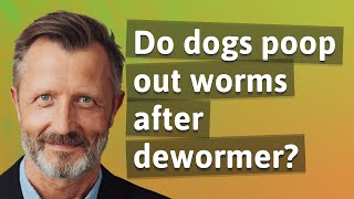 Do dogs poop out worms after dewormer?