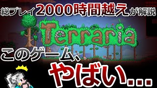 【テラリア】総プレイ2000時間越えが、テラリアがどんなゲームなのか解説します！