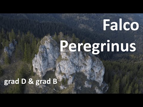 Via ferrata Falco Peregrinus Piatra Șoimilor (grad.D & B)Încă o zi,încă o poveste. Tămaș Alin Simion