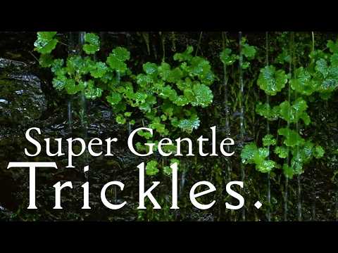 No Music - Gentle Water Sounds for Perfect Sleep and Relaxation