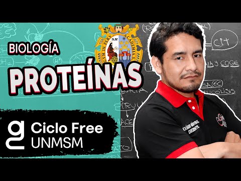 BIOLOGÍA  - Proteínas  [CICLO FREE]