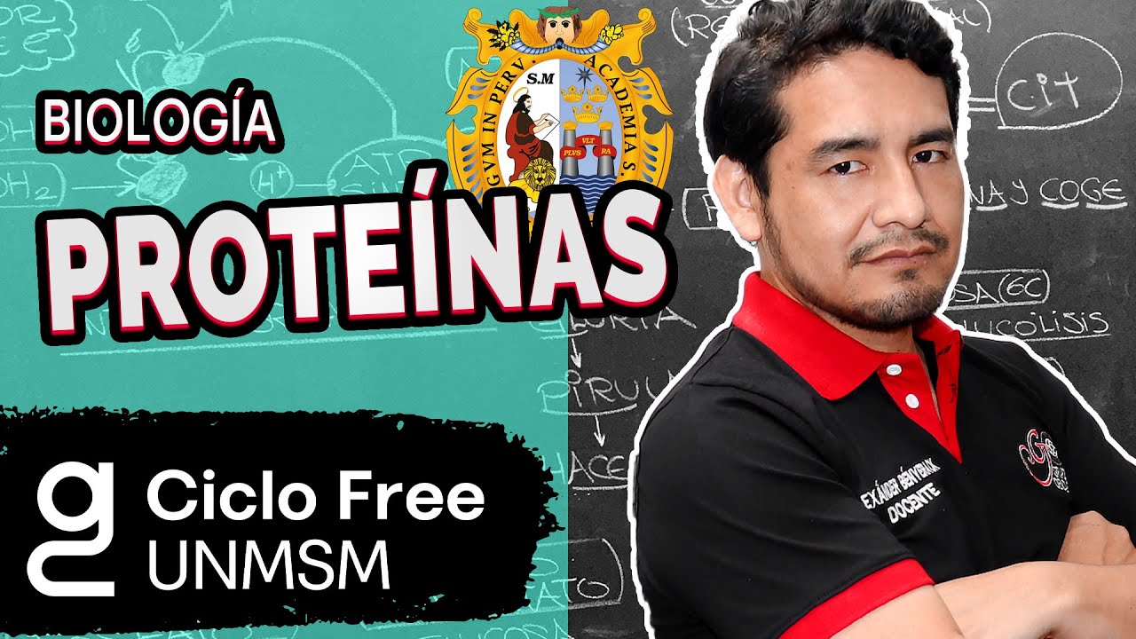 BIOLOGÍA  - Proteínas  [CICLO FREE]