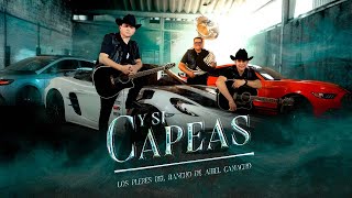 Los Plebes del Rancho de Ariel Camacho - Y Si Capeas - Video Oficial