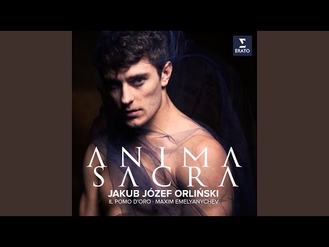 Messa a 5 voci: "Domine Fili unigenite"