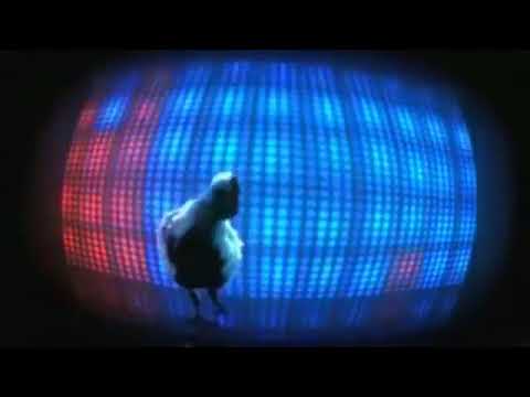 DANS EDEN TAVUK 😂😂😂😂😂😆😆