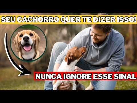 Por Que Seu Cachorro Se ALONGA Quando Ver Você A Resposta Vai SURPREENDER!