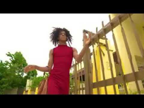 El crok yo no soy pájaro no X flow barriatico video oficial