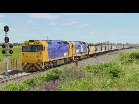 BL31 & 8154 With Pacific National Grain Train - PoathTV