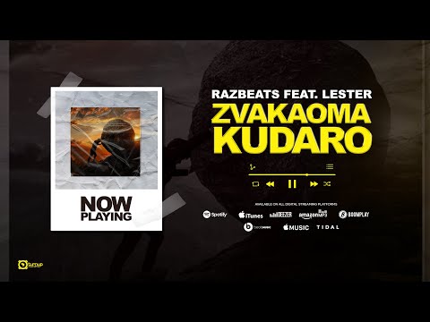 Razbeats Ft. Lester - Zvakaoma Kudaro (Visualizer)