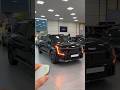2024 KIA EV9 ASMR